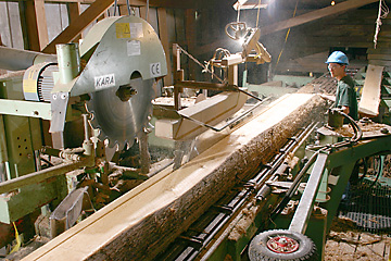 saw